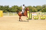 SBM_002231