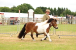 SBM_04353