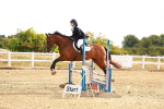 SBM_002038