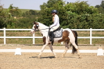SBM_004831
