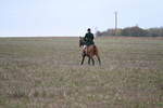 WJ7_9371
