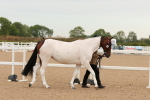 SBM_16492