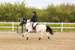 SBM_003969