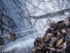 NOVEMBER REFLECTION -  WRECKING YARD