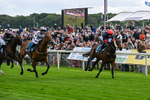 130626-Race 1-Dunkeld Dreamer-0537
