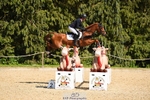 483-COROUET-Sarah_Bullimore-SJ portfolio