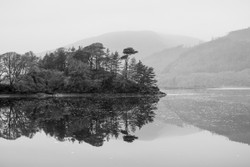 Mawddach reflection.