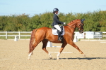 SBM_002223