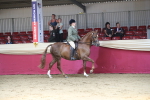 SBM_02869