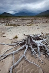 Loch Glascarnoch shores