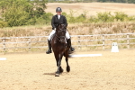 SBM_003631