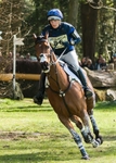 Sports portfolio