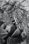_DSC1088bw