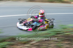 Hillclimb_06-09-2014_KART-35