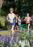 OSA Run_2016-2