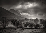 Lakes Light