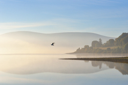 Blessington Lake