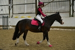 WJ5_6831