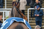 240126-Race 1-Jordans Cross-5810