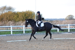 SBM_003337