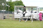 SBM_16179