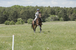 BVHT 140517  NXC -310