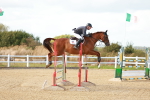 SBM_001920
