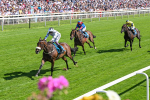 120725-Race 4-Al Qareem-5794