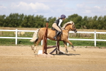 SBM_001222