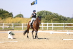SBM_004798