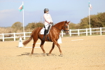SBM_009162