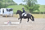 BPP_9993