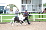 SBM_00238