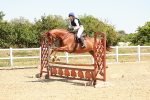 SBM_003736