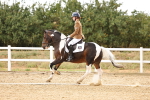 SBM_006753