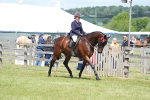 SBM_15868