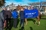 141023-Race 3-Montassib-8916