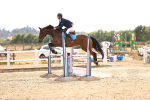 SBM_001709