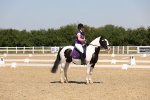 SBM_004347