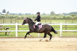 SBM_009428