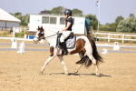 SBM_003051
