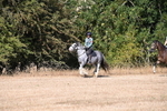 WJ6_7796