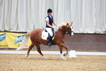 SBM_009007