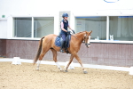 SBM_008375