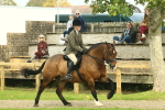 SBM_69343