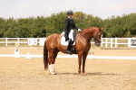 SBM_006481