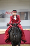 Class 107 Ridden Costume- Astride Adult (20+) portfolio