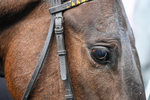 020526-Race 1-Arapaho Gold-9012