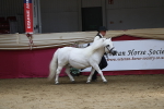 SBM_04919
