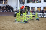 SBM_004175